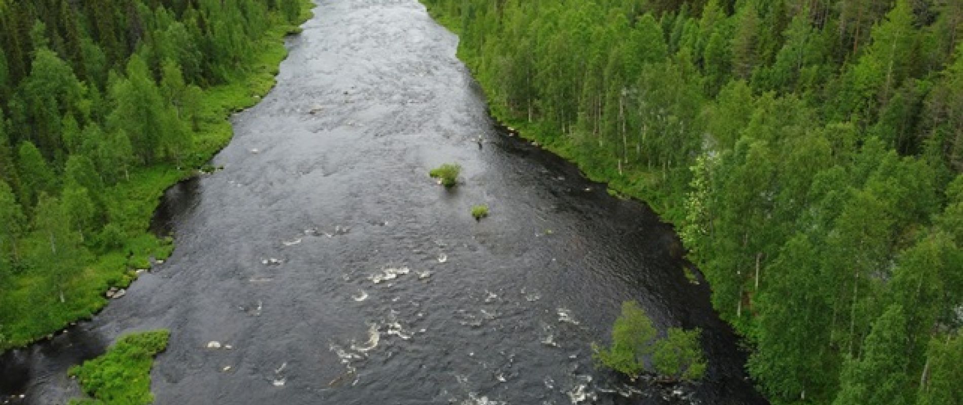 Putkosenkuve ilmakuva