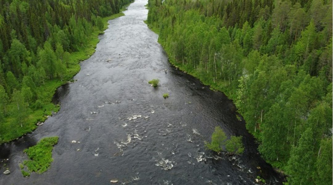 Putkosenkuve ilmakuva